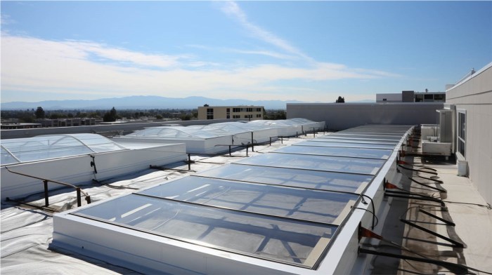 Excellence in Roofing and Skylight Integration