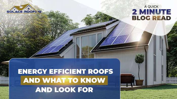 Energy-Efficient Roofing Options for Your Home | Constellation