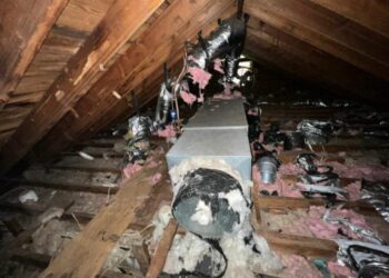 Common Attic Insulation Mistakes and How the Experts Fix Them - Master ...