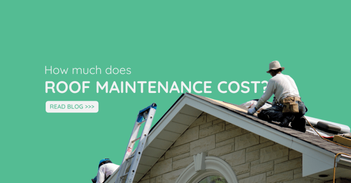 How Much Does Roof Maintenance Cost? | GOPM