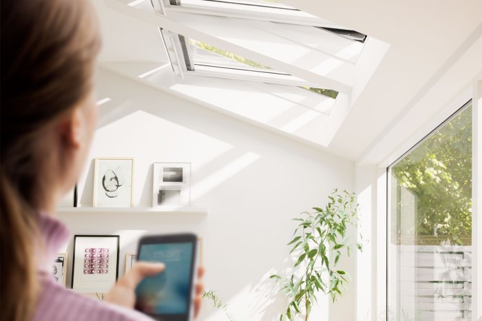 Skylight Windows: Transform Your Home with Natural Light and Sky Views